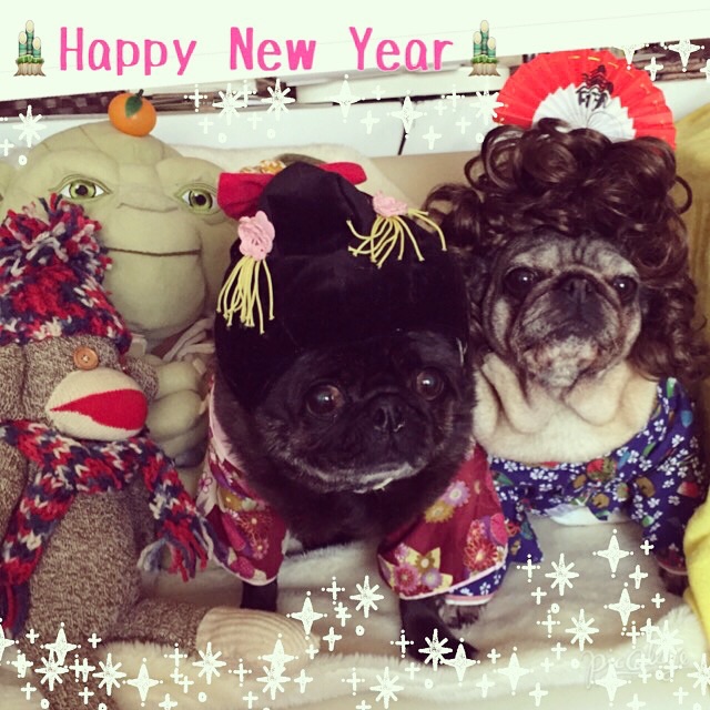 2016年もよろしくお願いします(*^-^*)